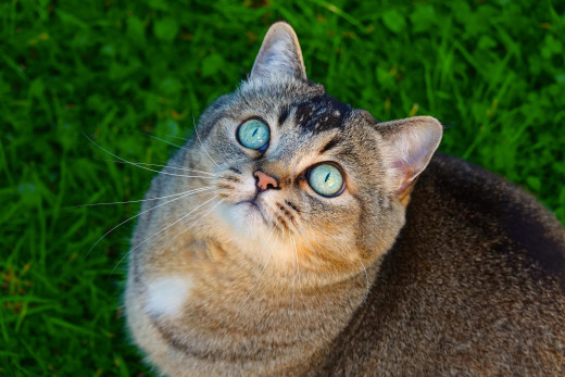 1757008 (a): :2048x1365